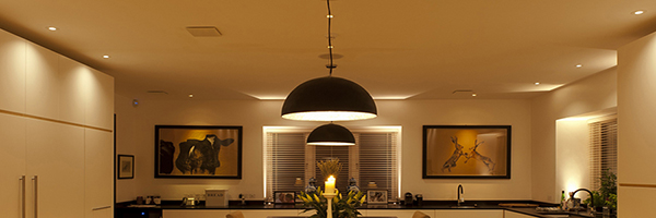 Commercial Light Indoor